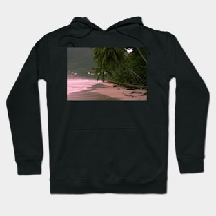 Morning Light on Tropical Coast Hoodie